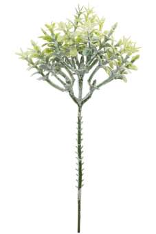 3865705 Blüten-pick II  15cm, grün 