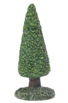3870528 Buchsbaum spitz, ca. 7 cm,1 St. 