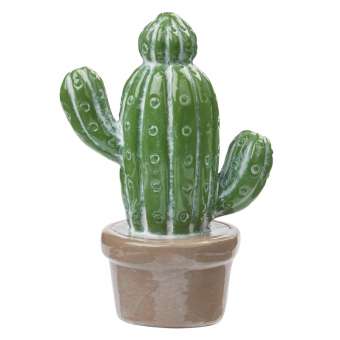 3870863 Kaktus, 6,5cm 