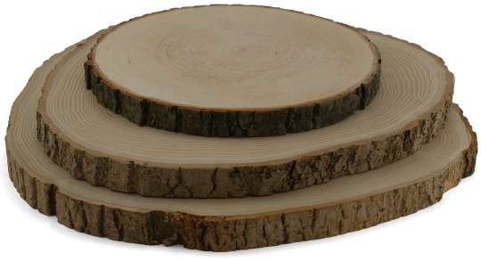 55.1060 Rindenbrett, rund D 8 - 10 x 1 cm 