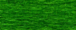 563470 Bastelkrepp 50x250cm grün 