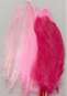 565979 Federn 12-17cm 15St. rosa/pink